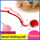 Interactive Cat Rolling Ball Super Drive Cat Rolling Balls With Bird Chirping Motion Activated Sensor Pet Kitten Teaser Game Toy