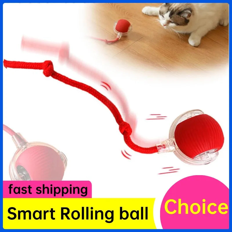 Interactive Cat Rolling Ball Super Drive Cat Rolling Balls With Bird Chirping Motion Activated Sensor Pet Kitten Teaser Game Toy