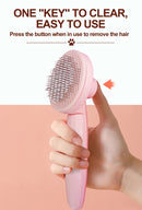 Easy Hair Removal Effortlessly removes loose fur and tangles.