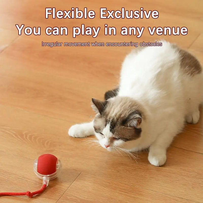 Interactive Cat Rolling Ball