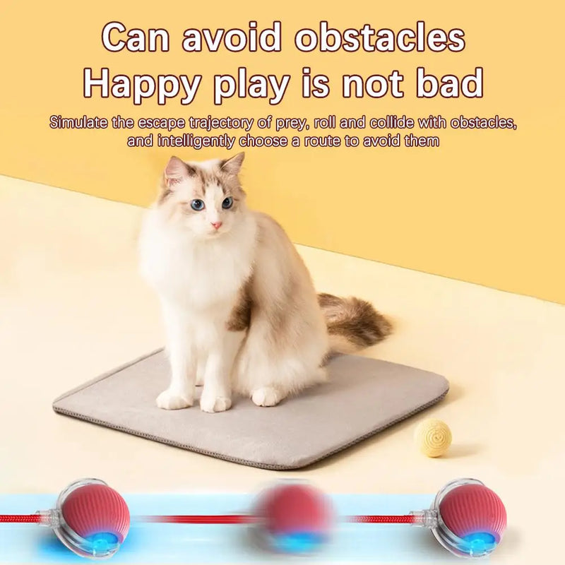 Interactive Cat Rolling Ball