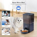 Transparent 6L Dog Automatic Feeder Smart Dispenser for Cats & Dogs with Remote Tuya WIFI Control Dry Food Pet Feeder