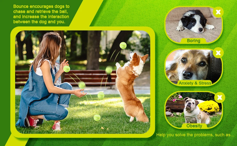 Tennis Balls for Dogs, 2-Inch Size, Compatible with Most Automatic Ball Launchers Idea for Small Dogs(12 Balls Only)