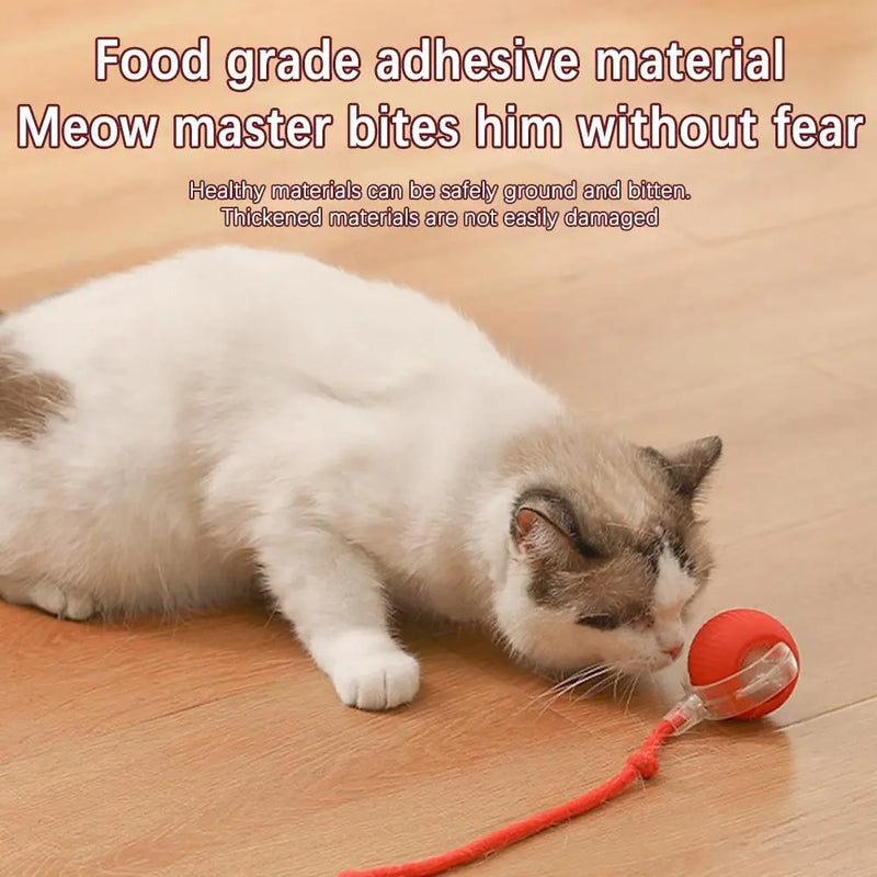 Interactive Cat Rolling Ball