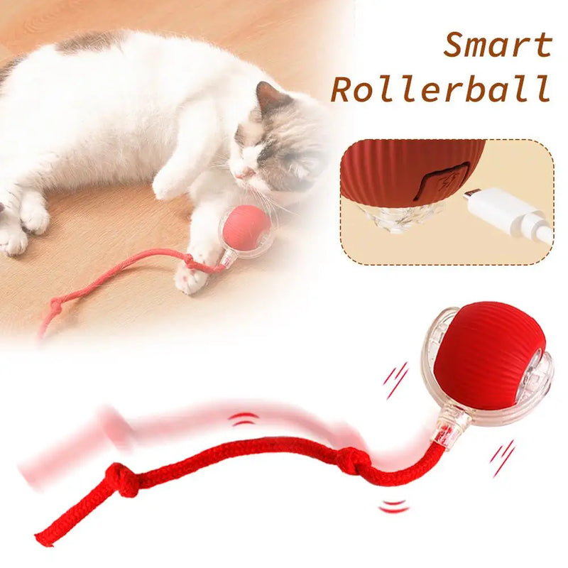 Interactive Cat Rolling Ball