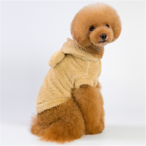 Dog clothes