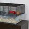 Hamster cage includes water bottle, exercise wheel food tray and