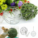 Stainless Steel Round Sphere Feed Dispense Exercise Hanging Hay Ball